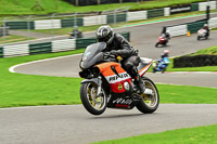 cadwell-no-limits-trackday;cadwell-park;cadwell-park-photographs;cadwell-trackday-photographs;enduro-digital-images;event-digital-images;eventdigitalimages;no-limits-trackdays;peter-wileman-photography;racing-digital-images;trackday-digital-images;trackday-photos